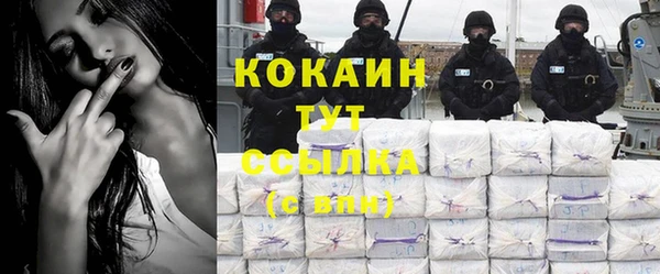 мяу мяу мука Аркадак