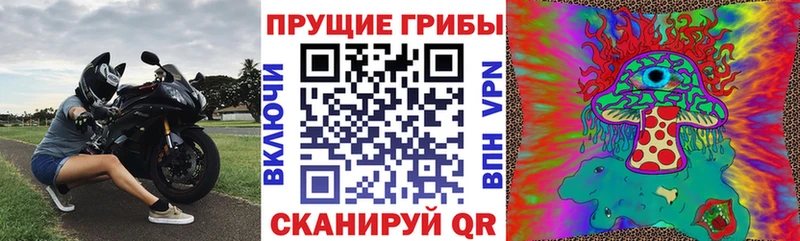 Псилоцибиновые грибы мицелий  купить наркотик  Катав-Ивановск 